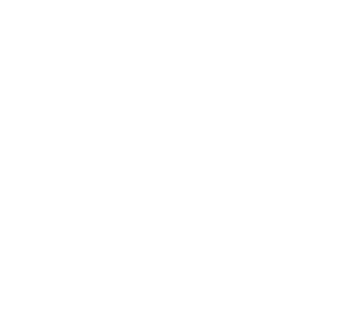 Community Foundations National Standards Seal