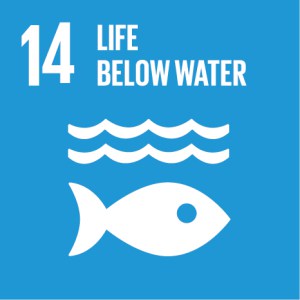 Goal 14: Life Below Water