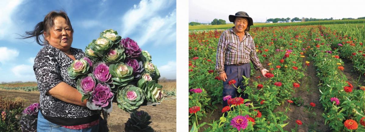Two pictures, one of a woman holding cabbages and the other of a man standing in a field of flowers.