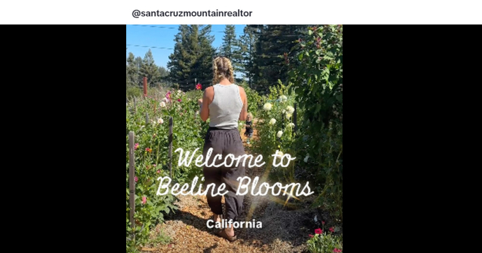 Creating New Community Space After Fires in California